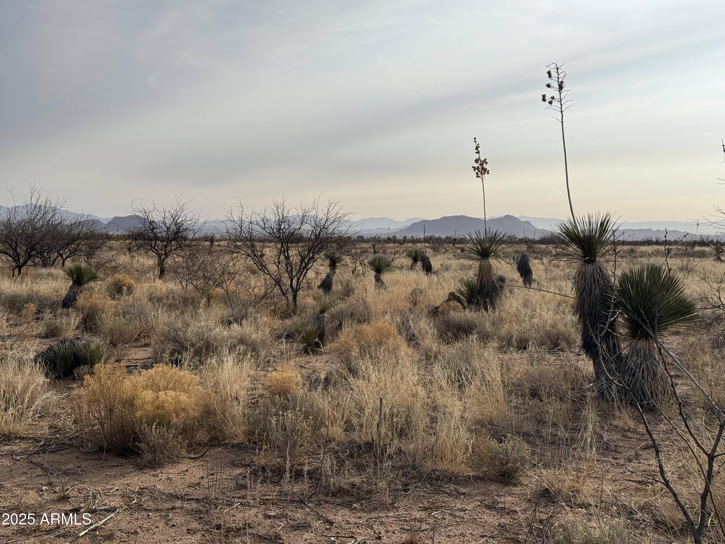 .85-acres Treasure Road, Unit 3 Pearce, AZ 85625 - Photo 1 of 14 IMG_8154