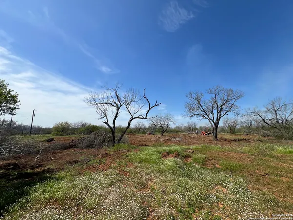 a view of a yard with mountain view