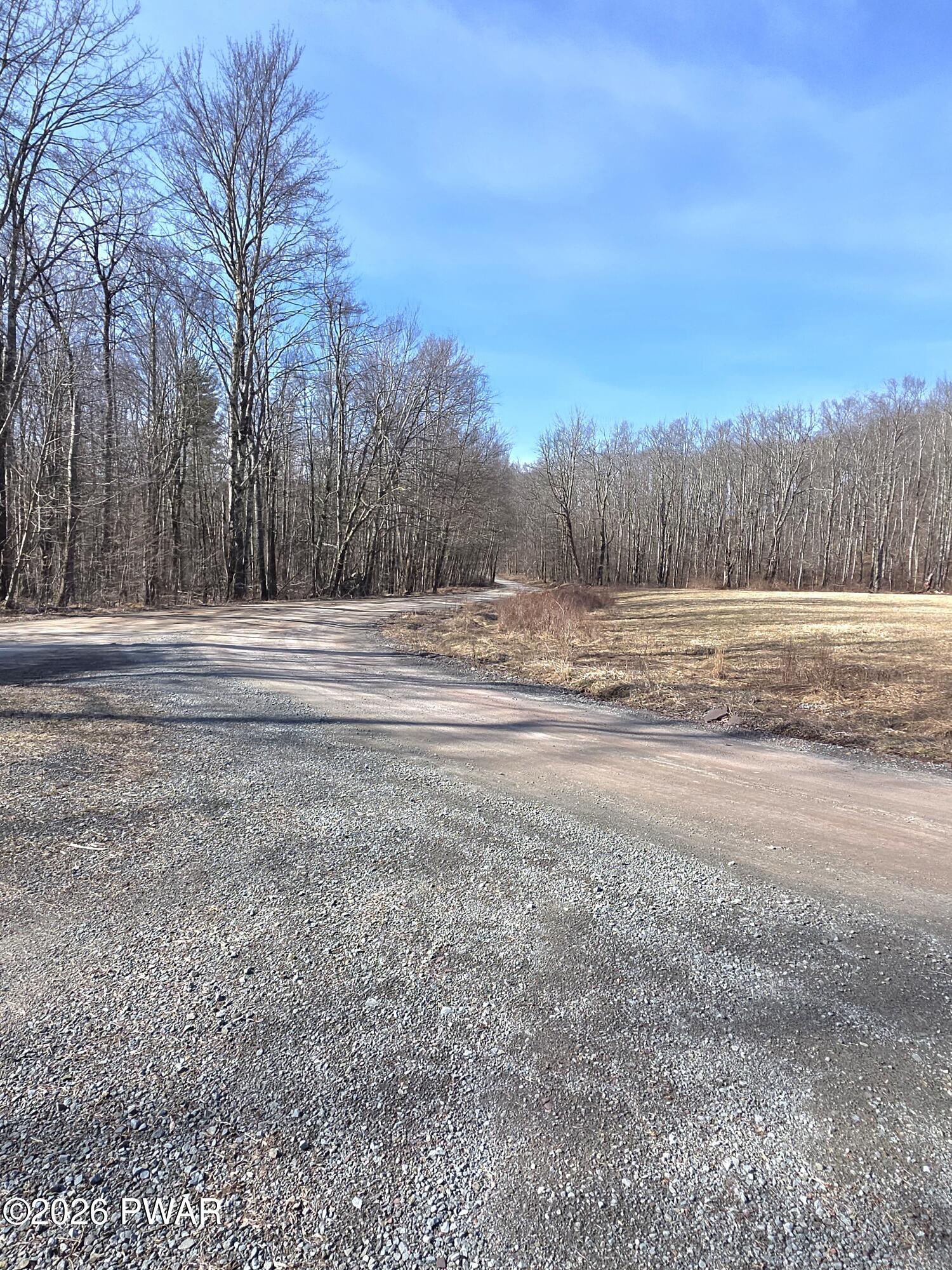 183 Galloway Road Equinunk, PA 18417 - Photo 47 of 51 Dirt Road
