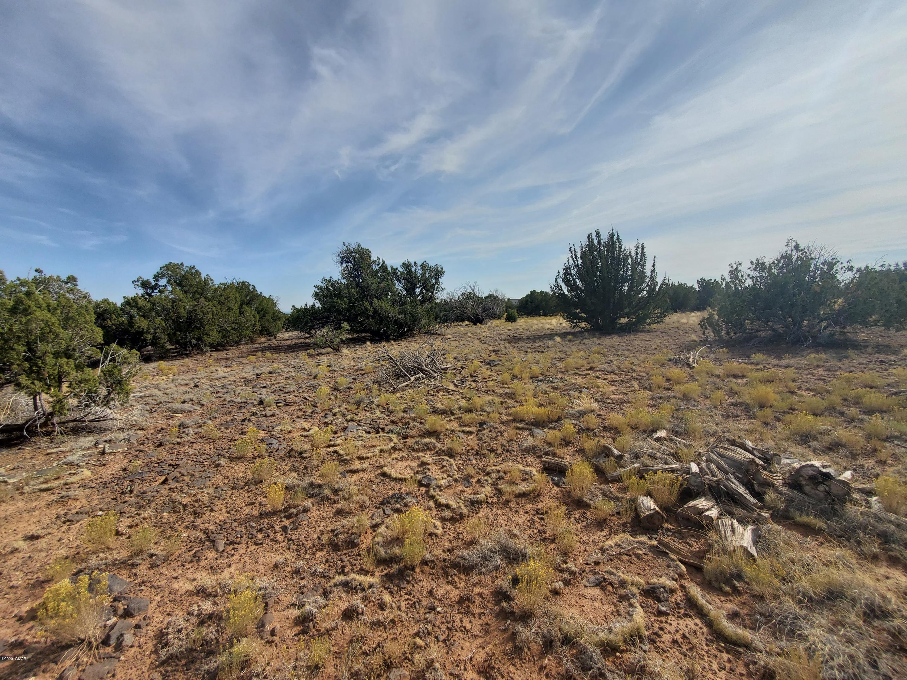 Tbd Shumway Road Show Low, AZ 85901 - Photo 11 of 14