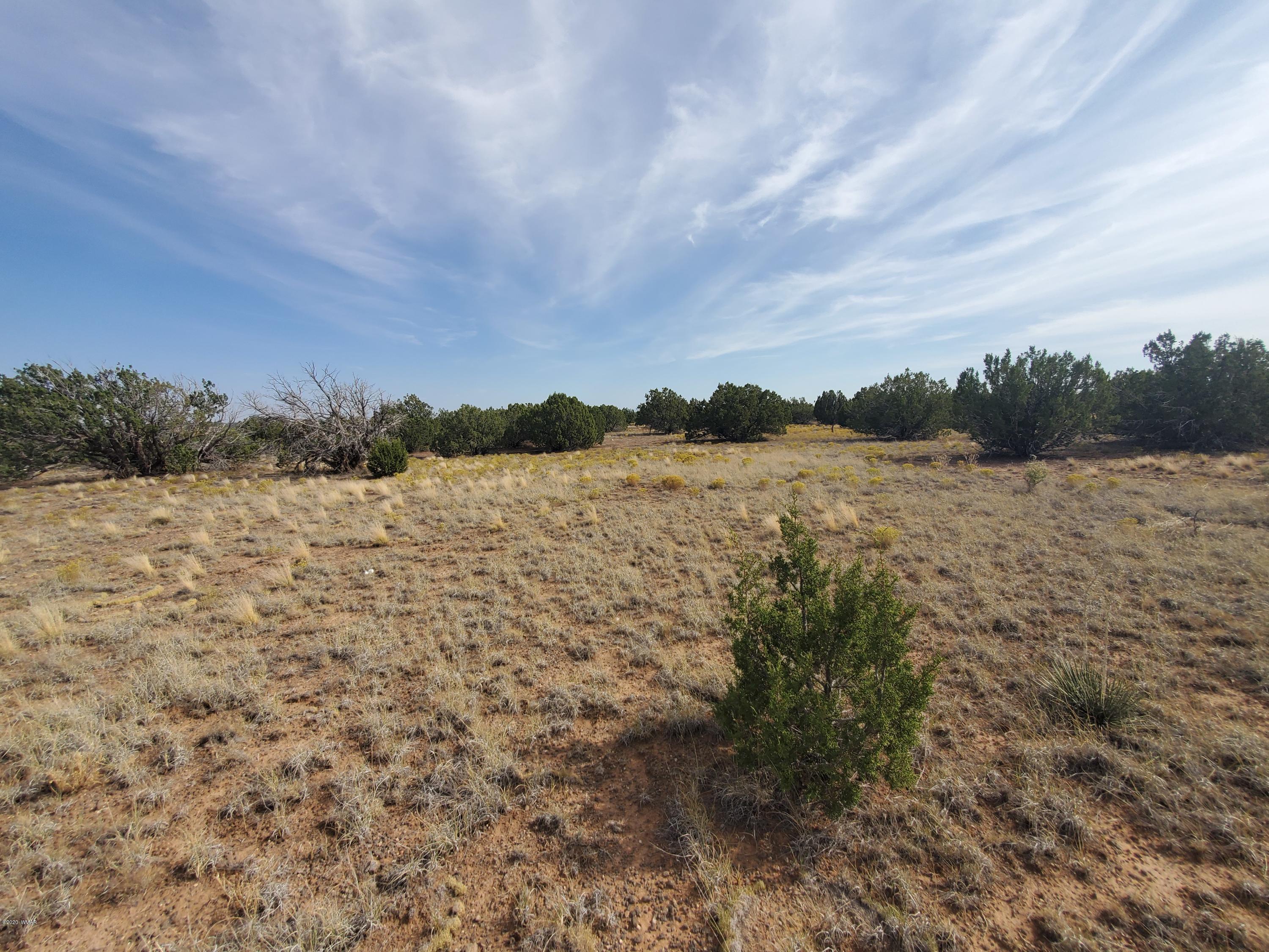 Tbd Shumway Road Show Low, AZ 85901 - Photo 12 of 14