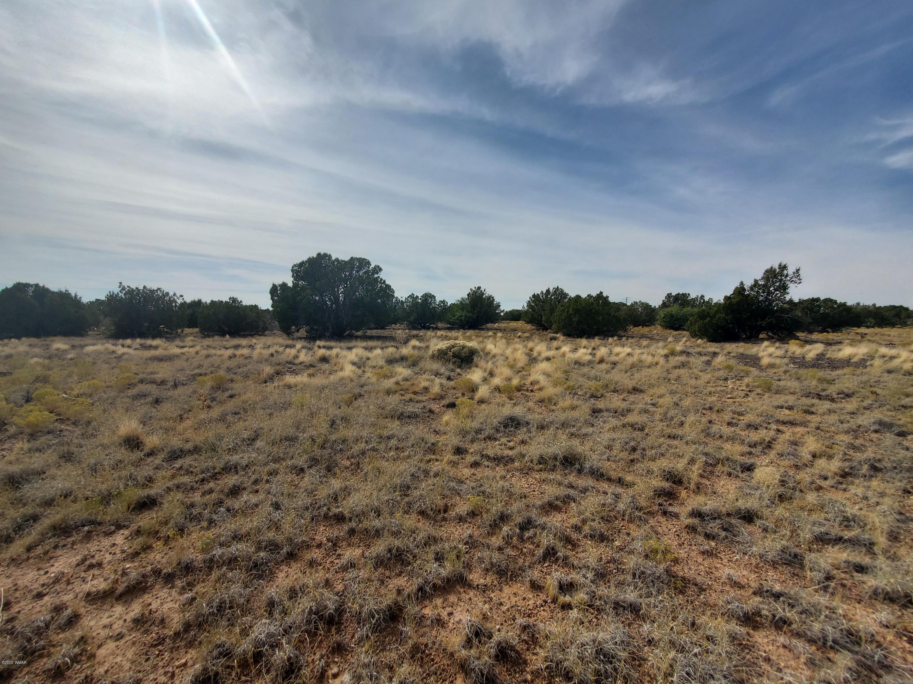 Tbd Shumway Road Show Low, AZ 85901 - Photo 13 of 14