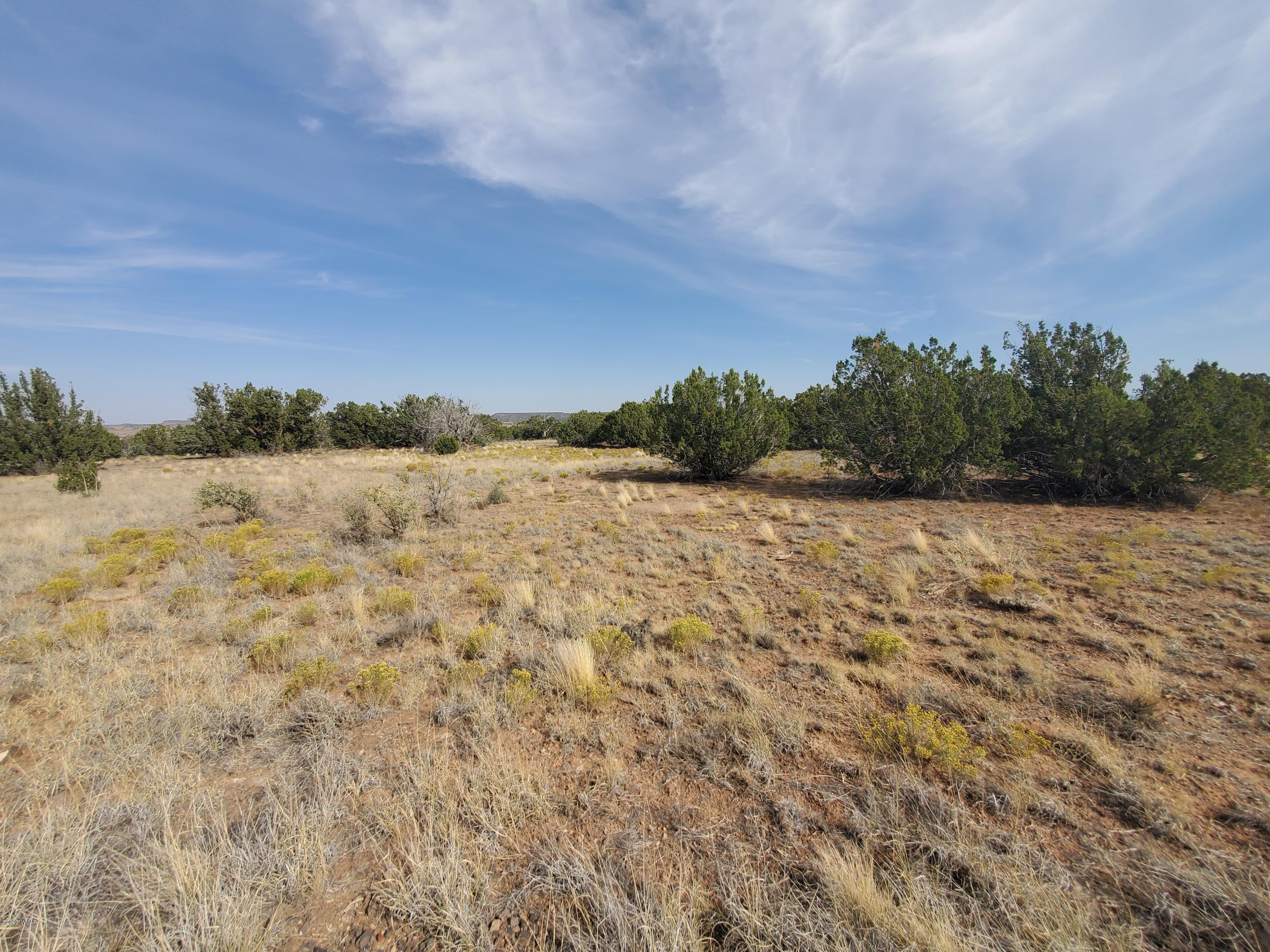 Tbd Shumway Road Show Low, AZ 85901 - Photo 14 of 14