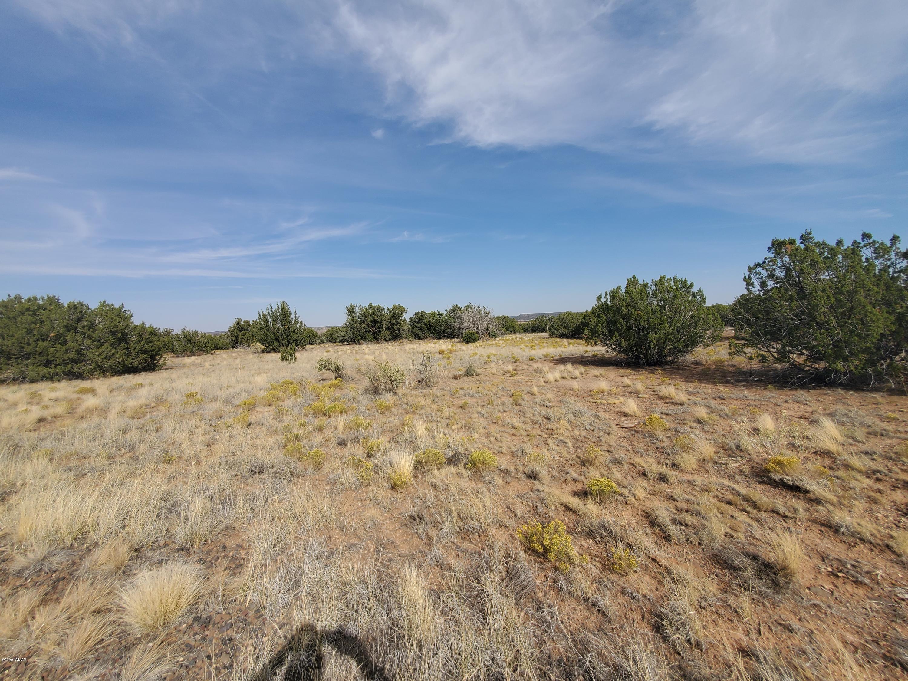 Tbd Shumway Road Show Low, AZ 85901 - Photo 2 of 14