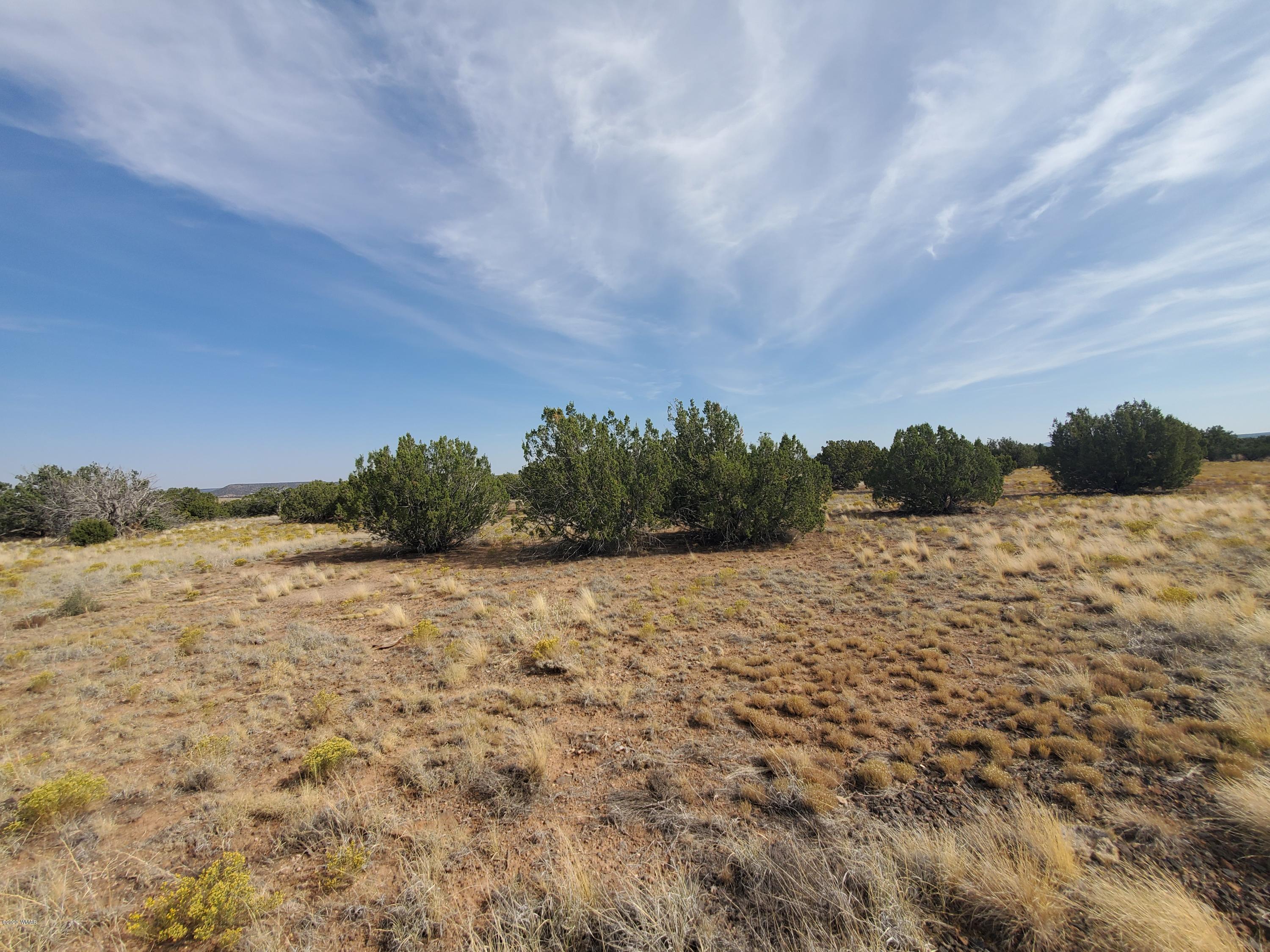 Tbd Shumway Road Show Low, AZ 85901 - Photo 3 of 14