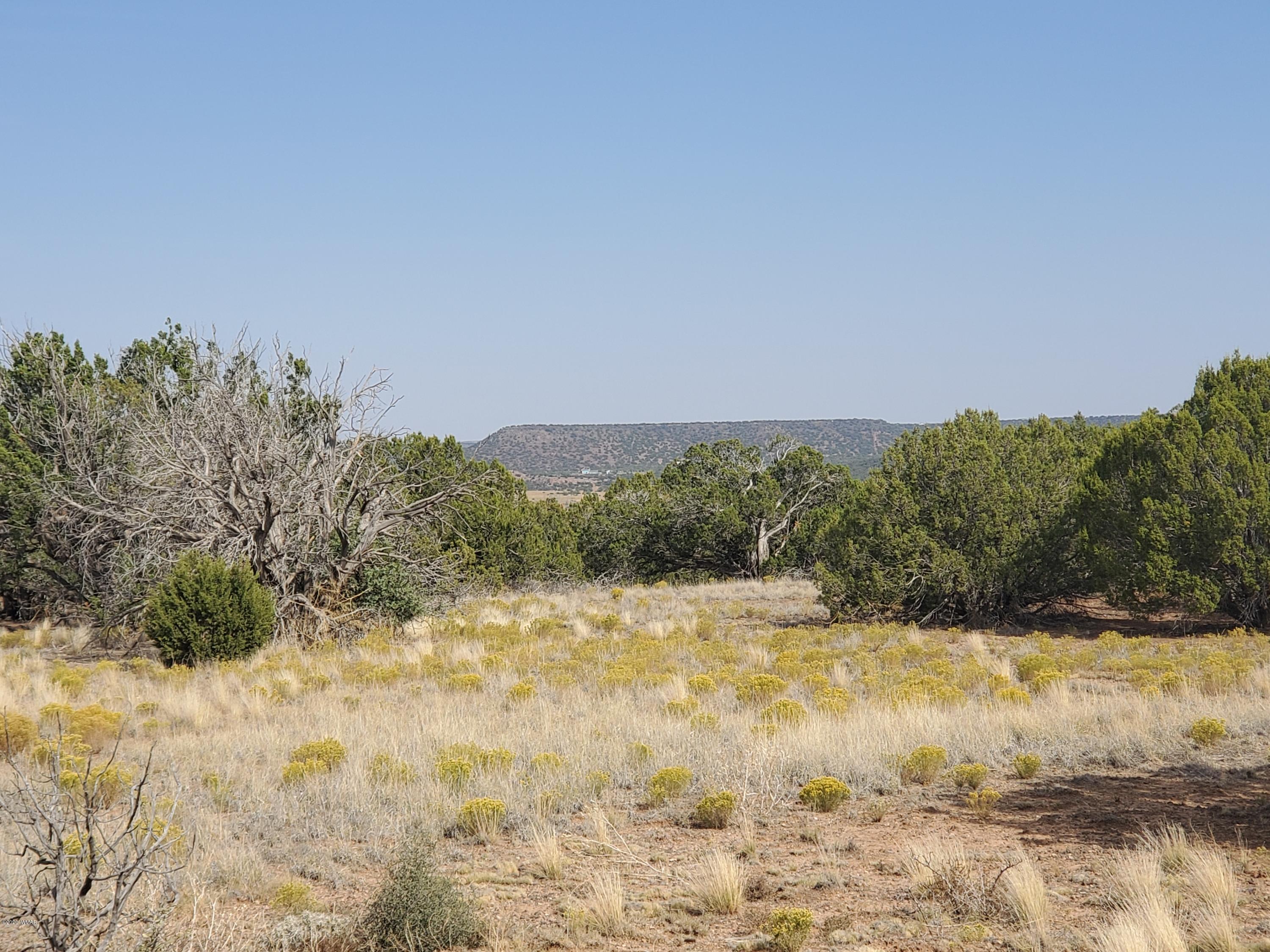 Tbd Shumway Road Show Low, AZ 85901 - Photo 4 of 14