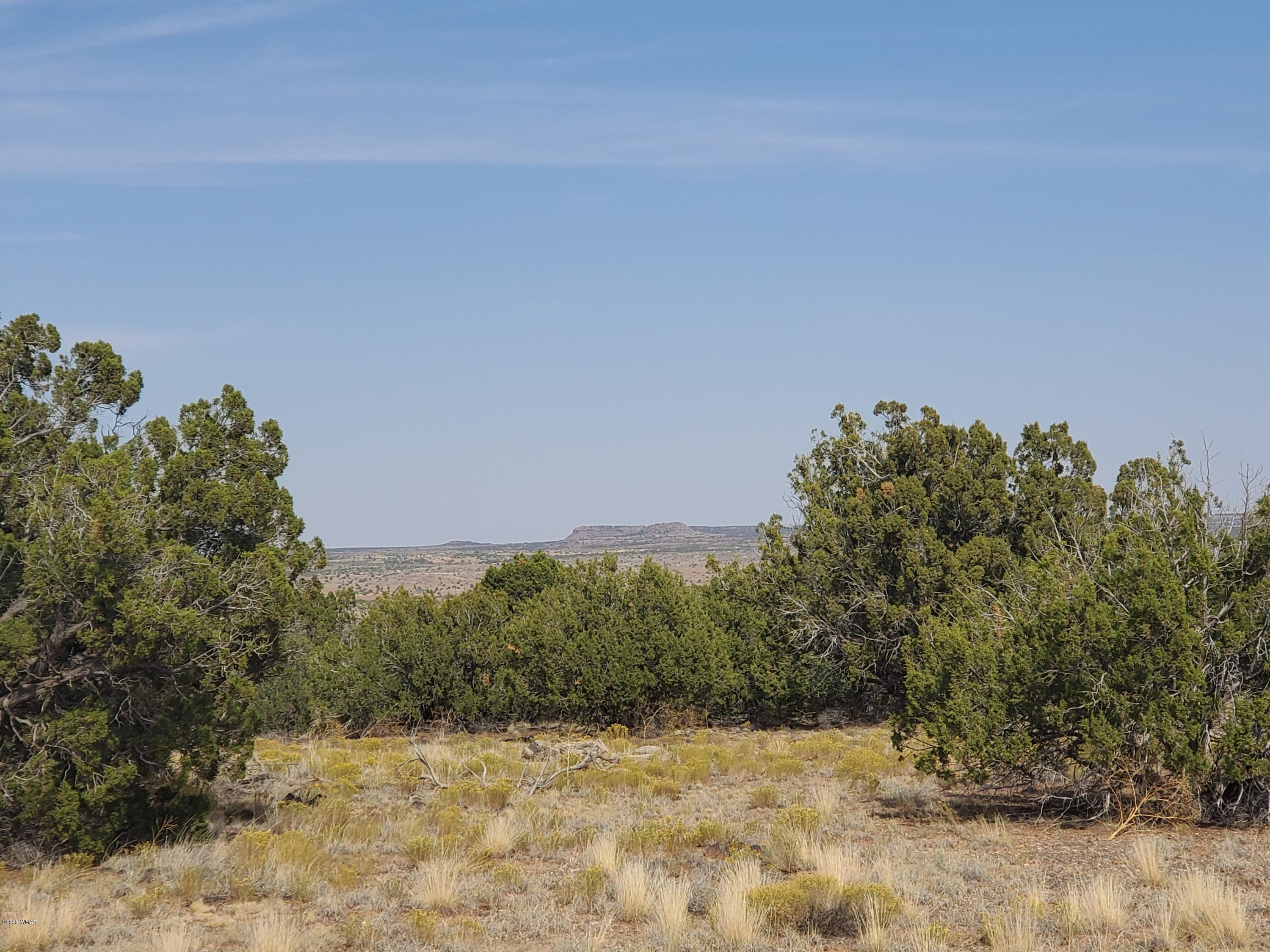 Tbd Shumway Road Show Low, AZ 85901 - Photo 5 of 14