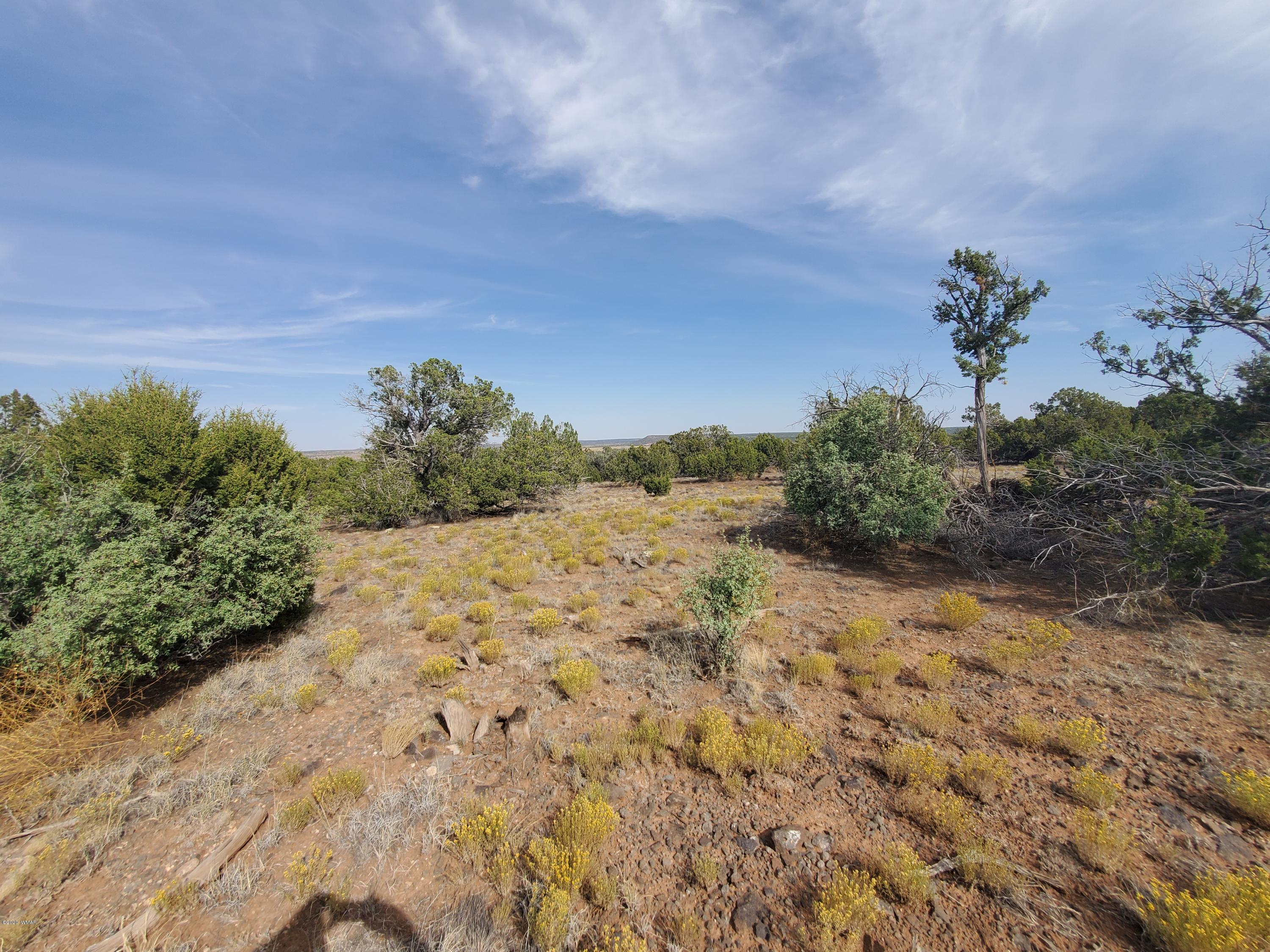 Tbd Shumway Road Show Low, AZ 85901 - Photo 6 of 14