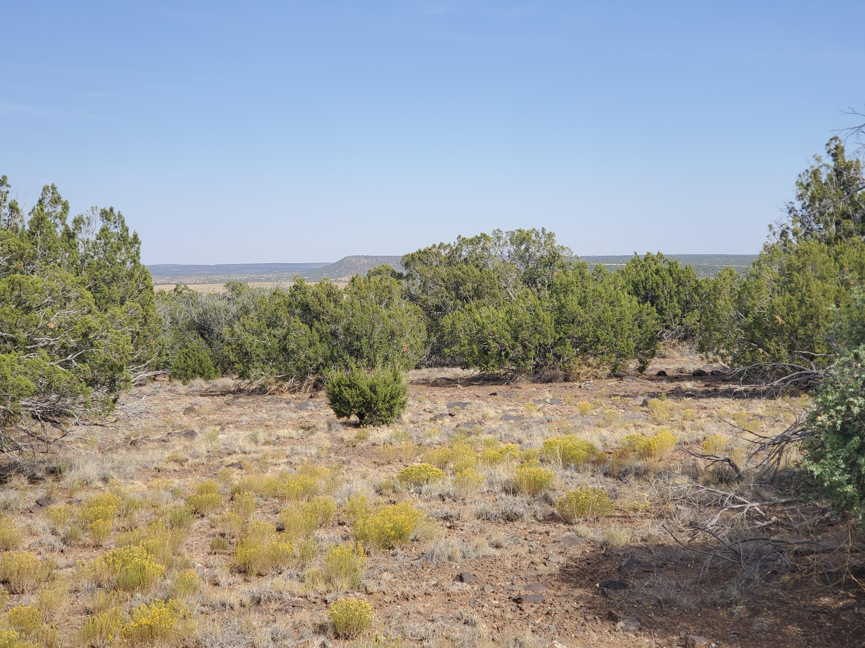 Tbd Shumway Road Show Low, AZ 85901 - Photo 7 of 14