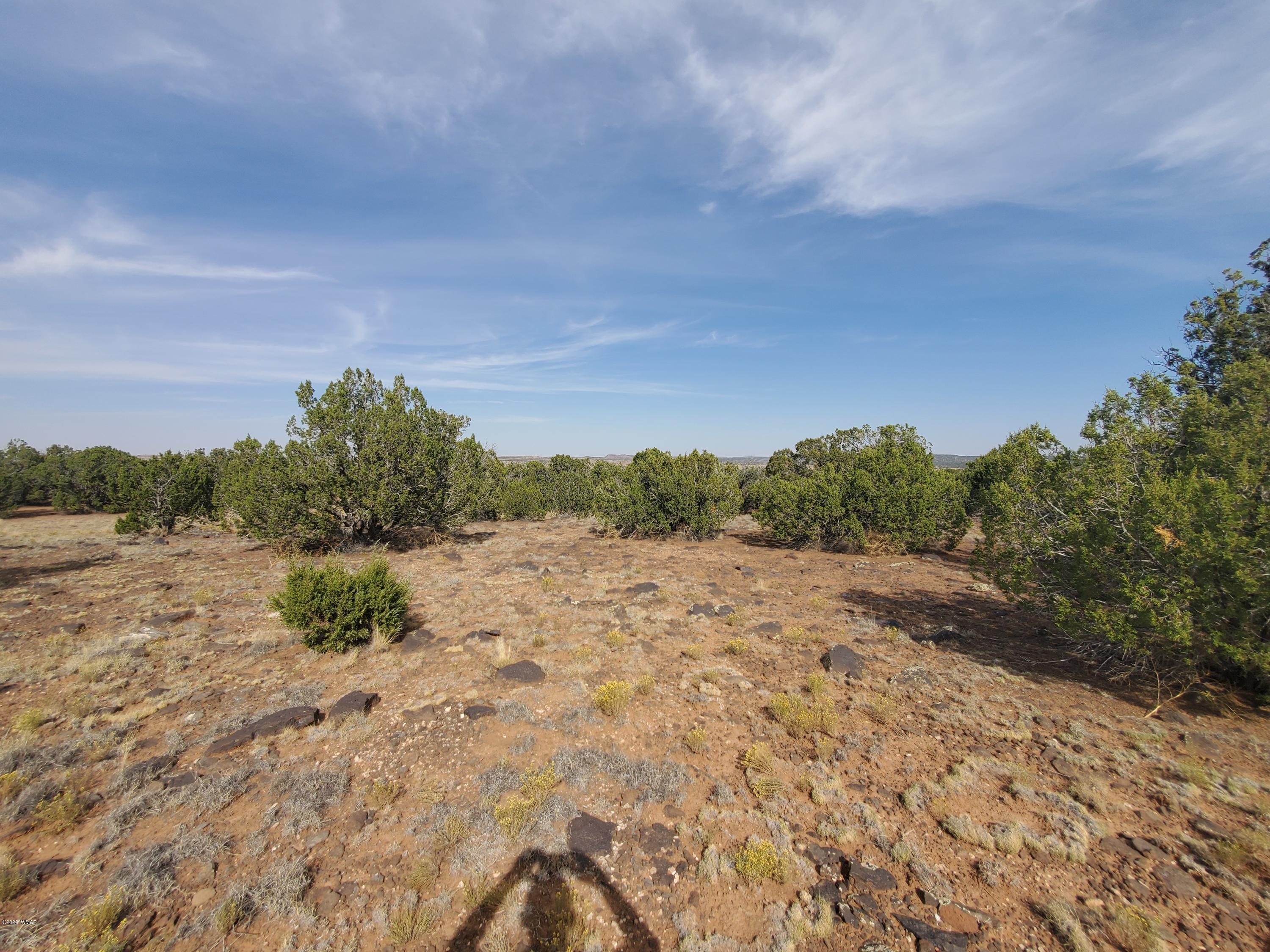 Tbd Shumway Road Show Low, AZ 85901 - Photo 8 of 14