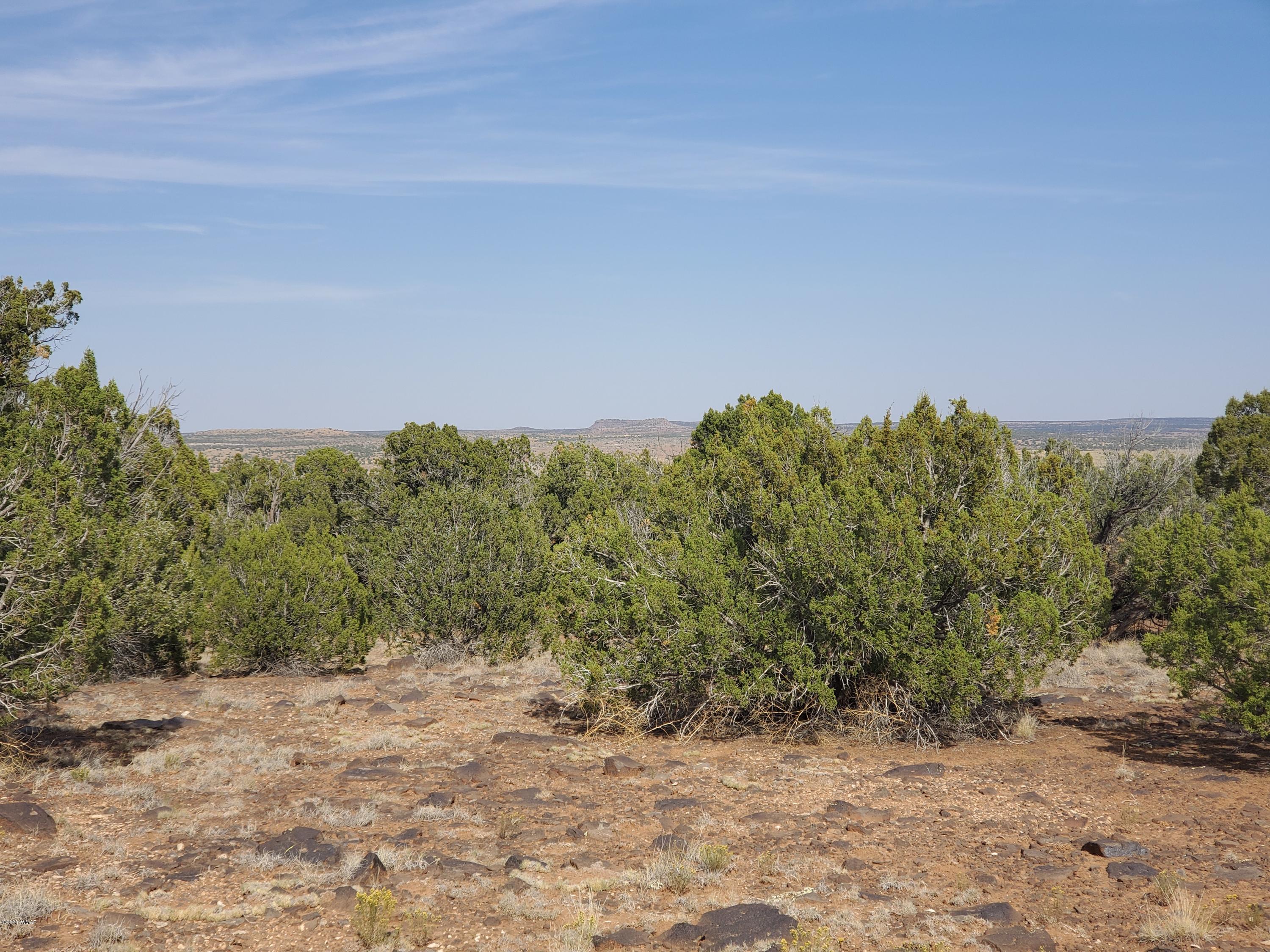 Tbd Shumway Road Show Low, AZ 85901 - Photo 9 of 14