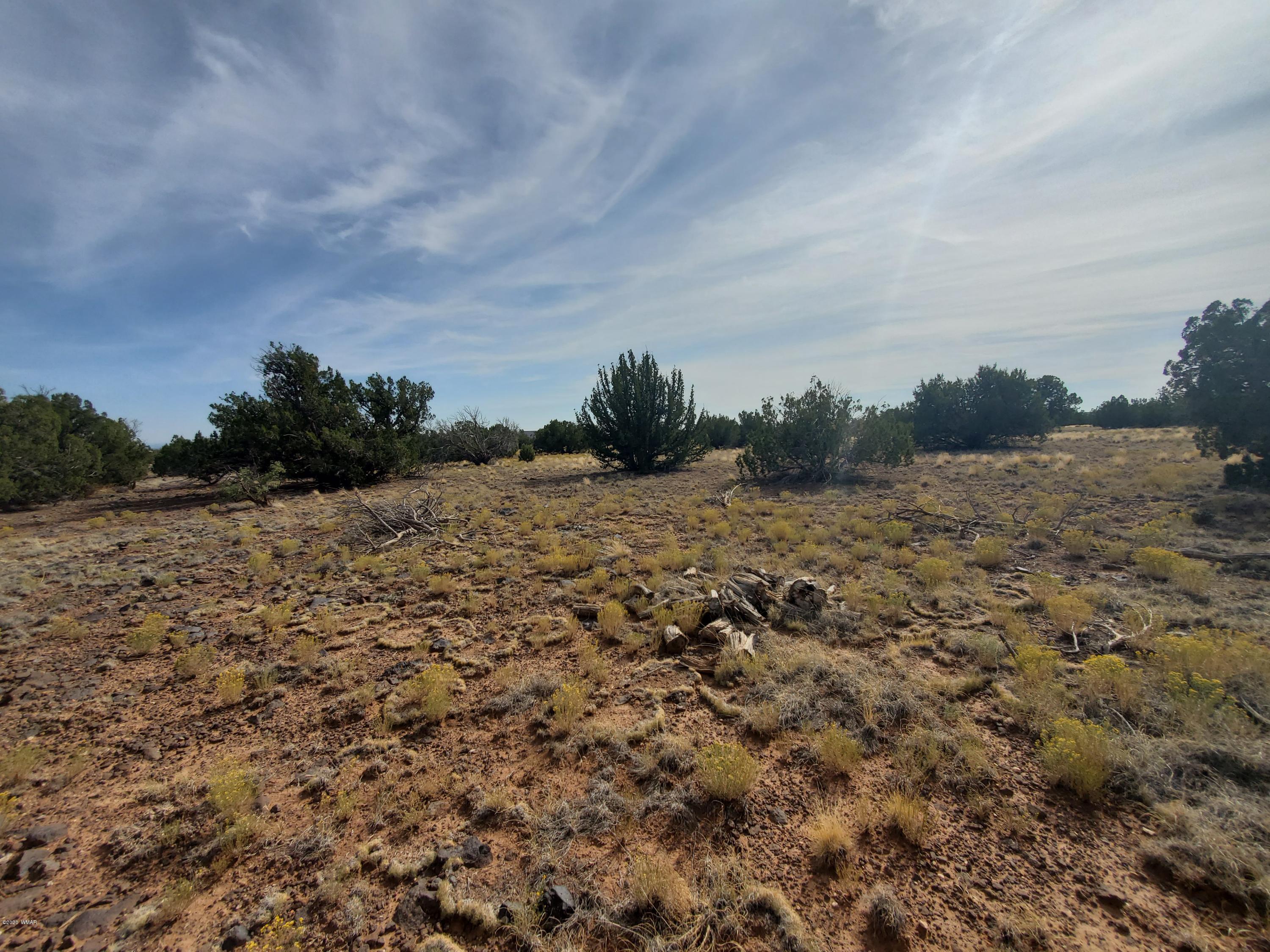 Tbd Shumway Road Show Low, AZ 85901 - Photo 10 of 14