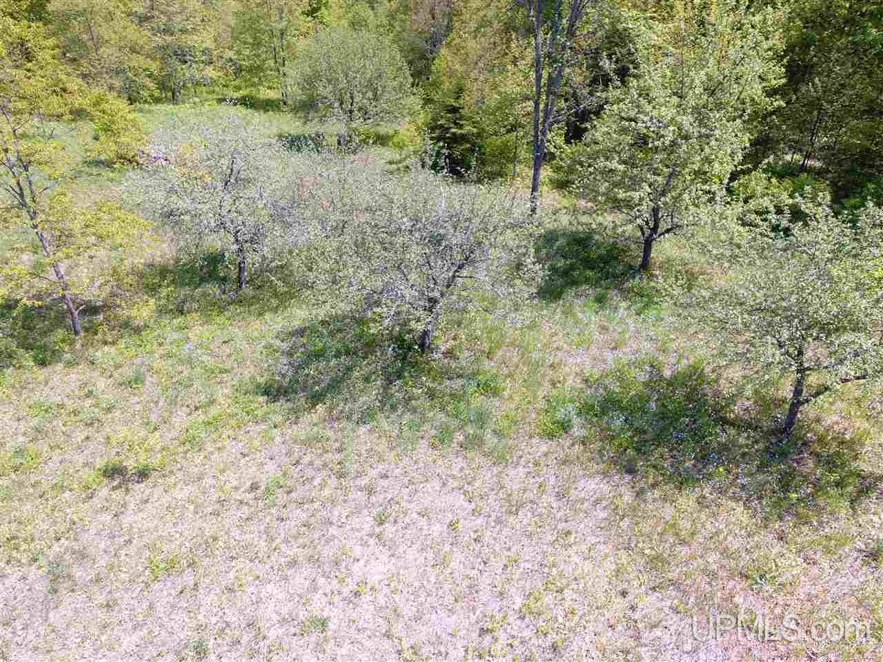 Tbd Tbd Akkala Road Eben Junction, MI 49825 - Photo 6 of 12