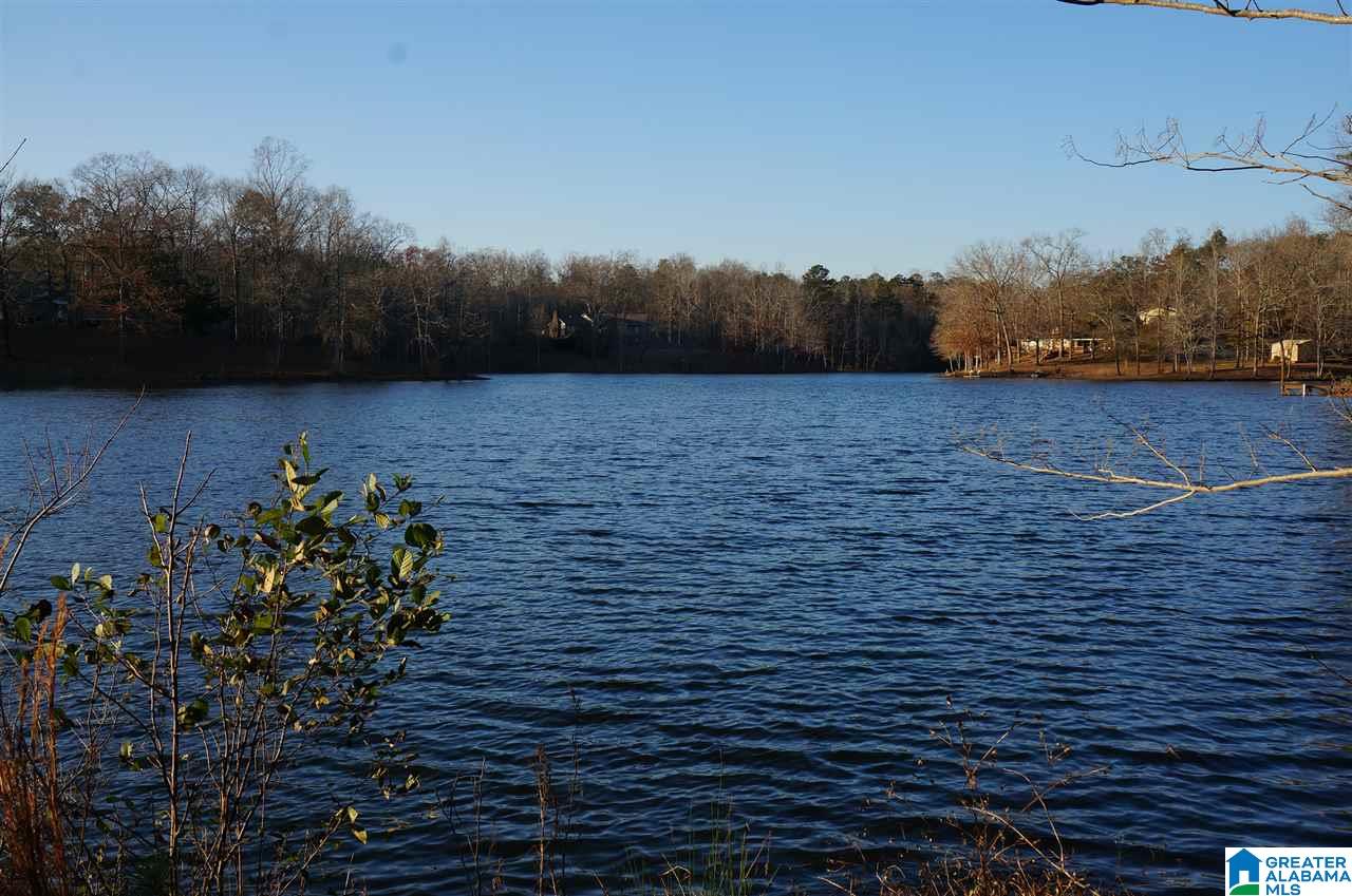 0 Azalea Road, Unit 92 ACRES Sylacauga, AL 35150 - Photo 1 of 9