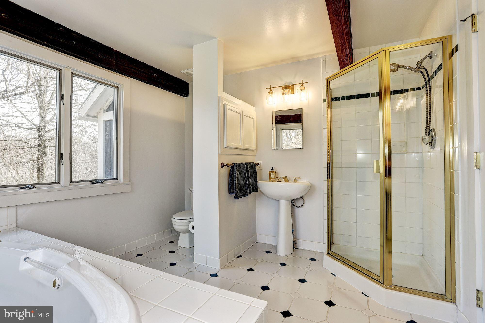 3133 Daisy Road Woodbine, MD 21797 - Photo 22 of 41 Master Bath