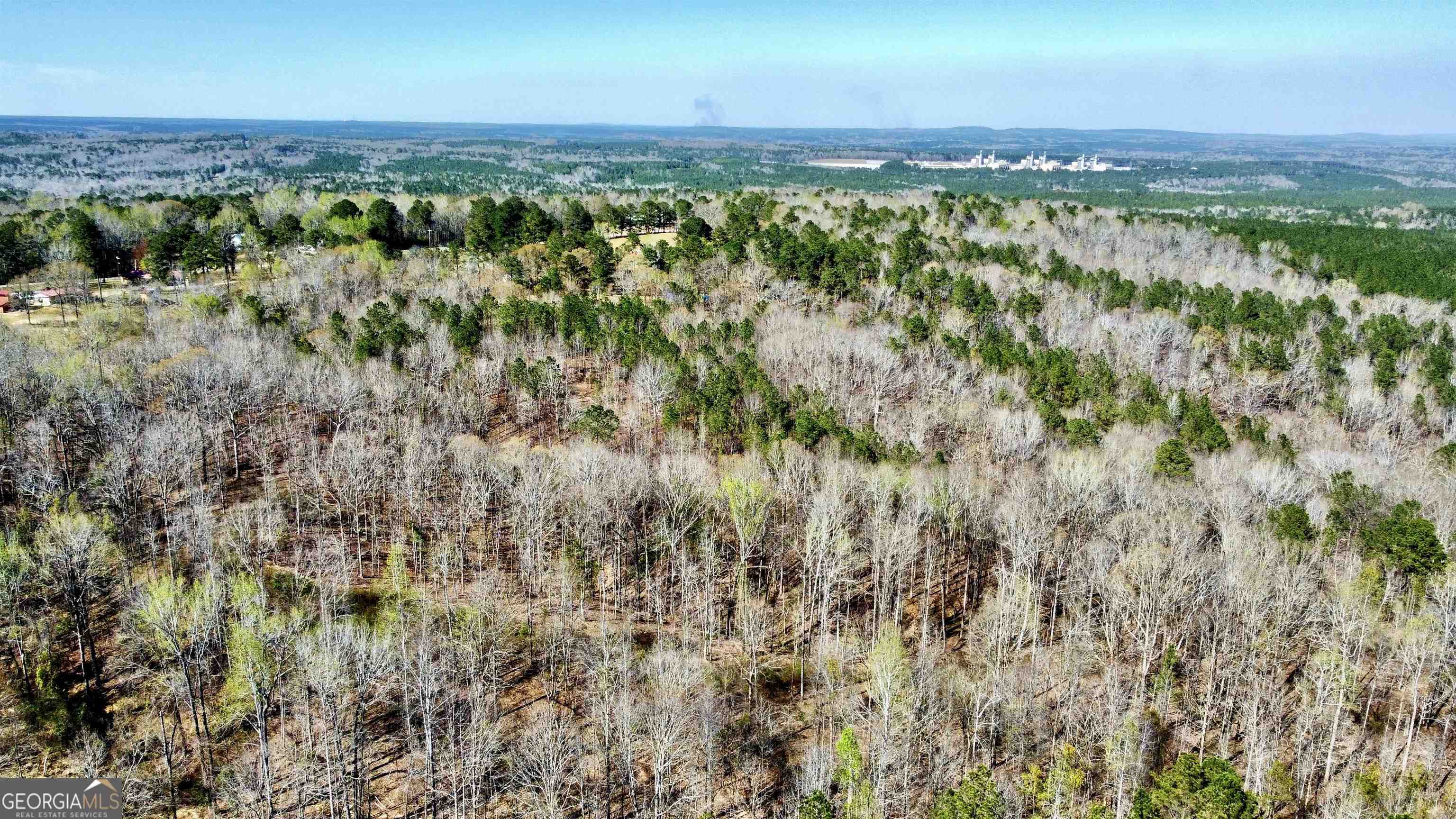 0 County 249 Road Smiths Station, AL 36877 - Photo 1 of 1