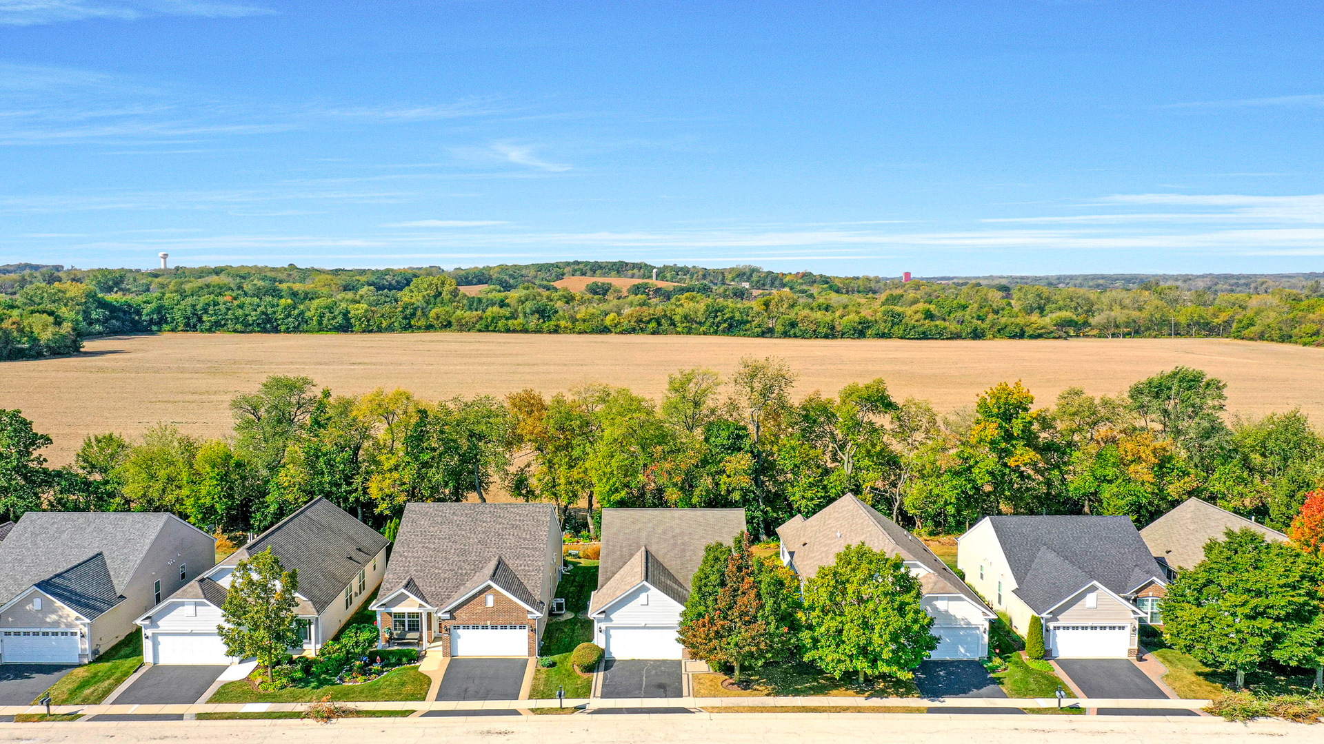 12669 Meritage Court Huntley, IL 60142 - Photo 28 of 33 an aerial view of house with lake view