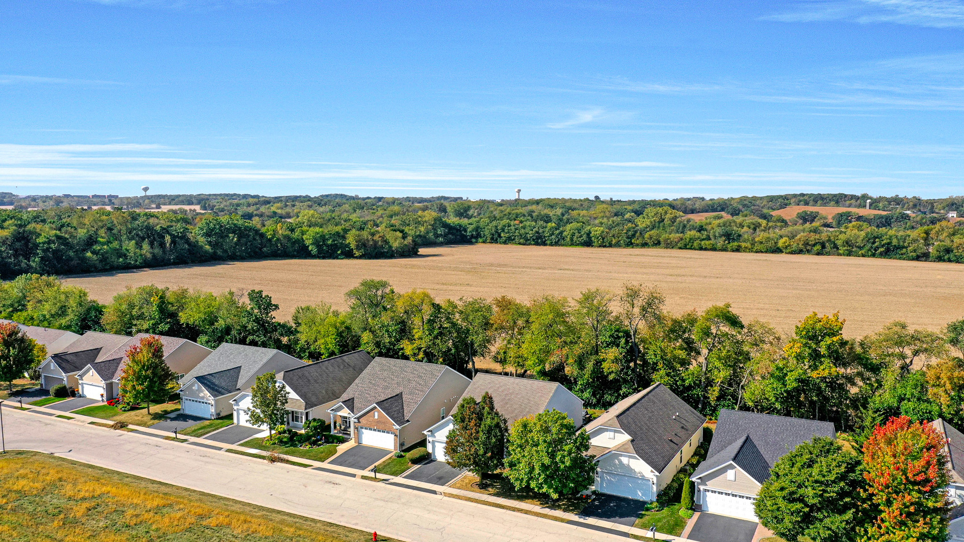 12669 Meritage Court Huntley, IL 60142 - Photo 31 of 33 an aerial view of lake and mountain view