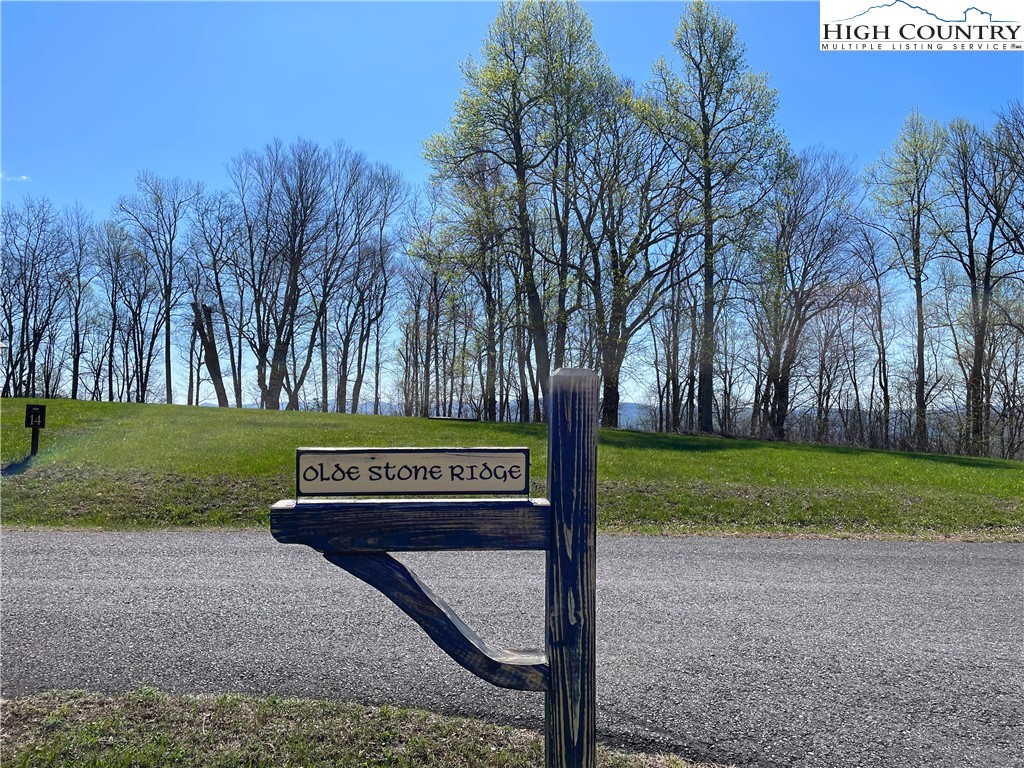 Lot#14 Olde Stone Ridge Lansing, NC 28643 - Photo 6 of 19 a view of a park with tree park