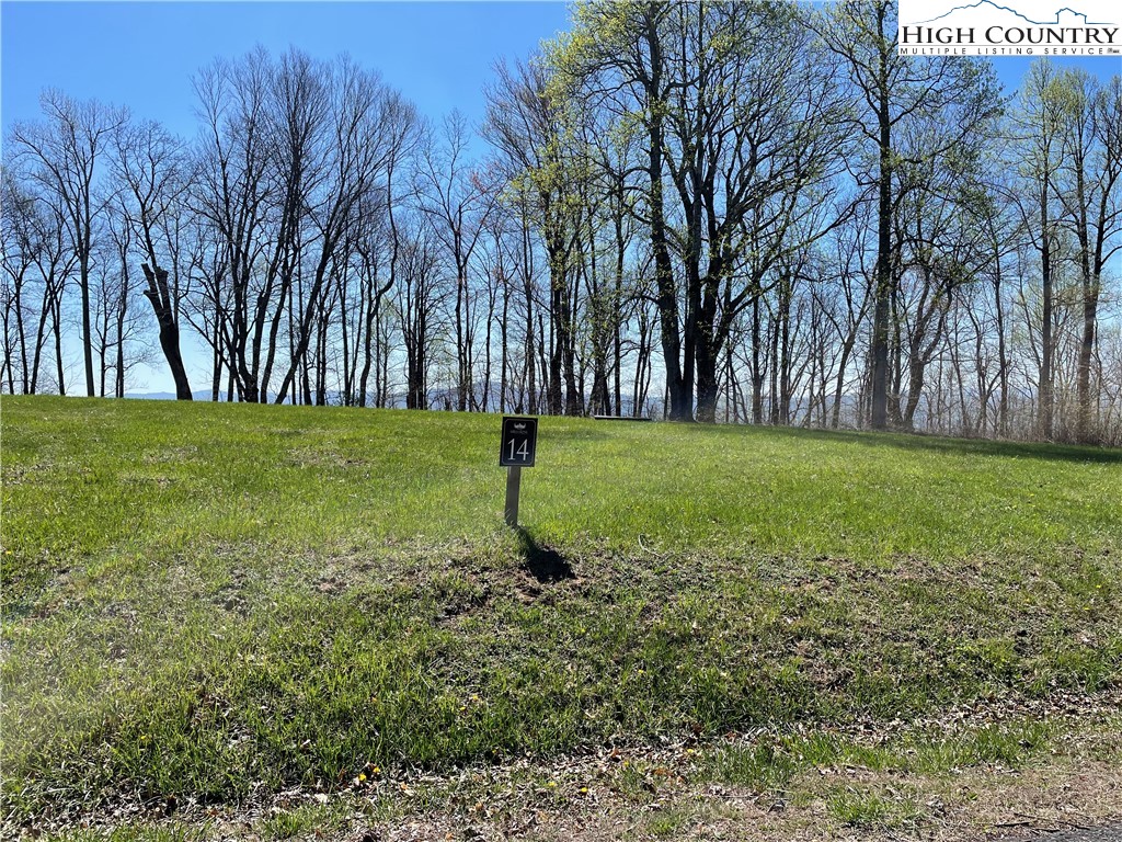 Lot#14 Olde Stone Ridge Lansing, NC 28643 - Photo 7 of 19 a view of a field with trees