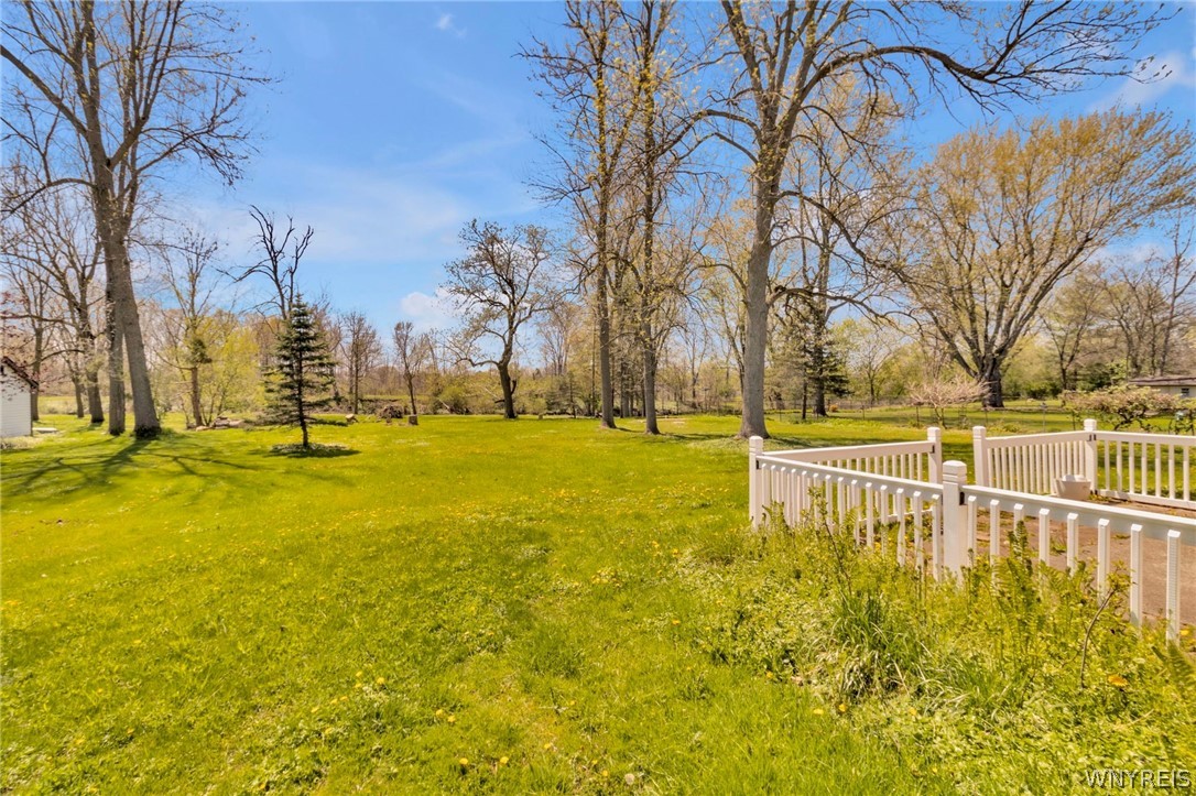 2204 North Forest Road Amherst, NY 14221 - Photo 49 of 50