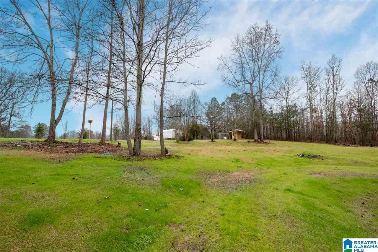 2481 County Road 29 Oneonta, AL 35121 - Photo 35 of 35