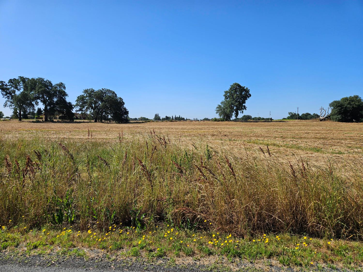 20654 Disch Road Lockeford, CA 95237 - Photo 3 of 6