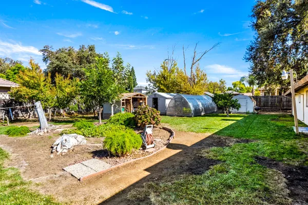 a view of a garden with plants and large trees