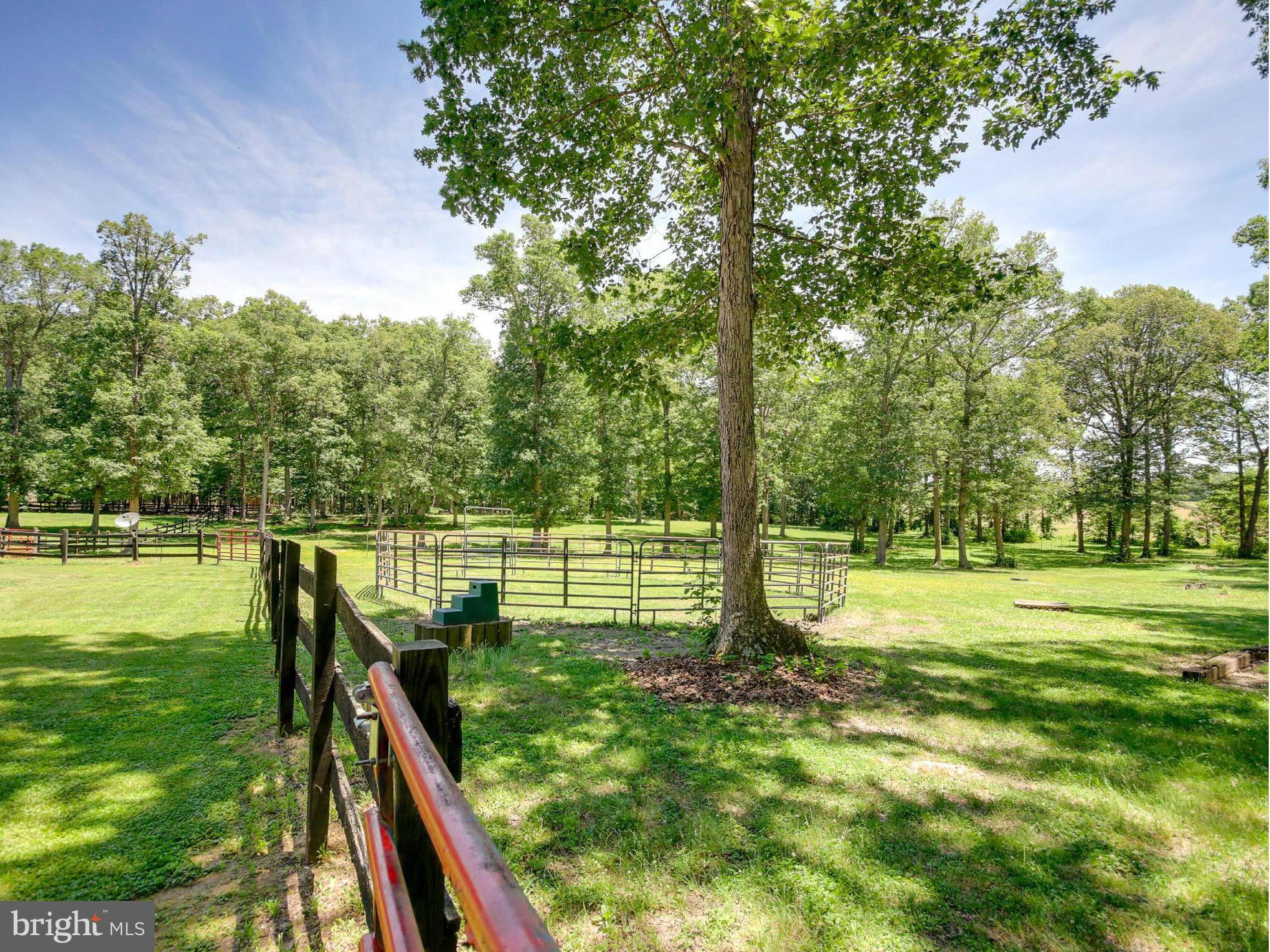 5273 True Blue Road Culpeper, VA 22701 - Photo 6 of 30 Exterior (General)