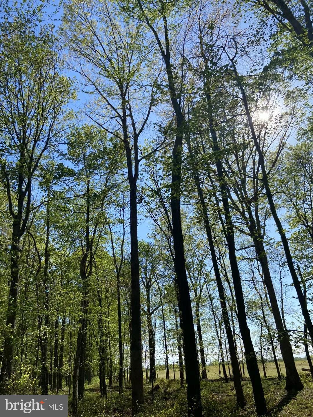 17007 Whites Ferry Road Boyds, MD 20841 - Photo 2 of 4