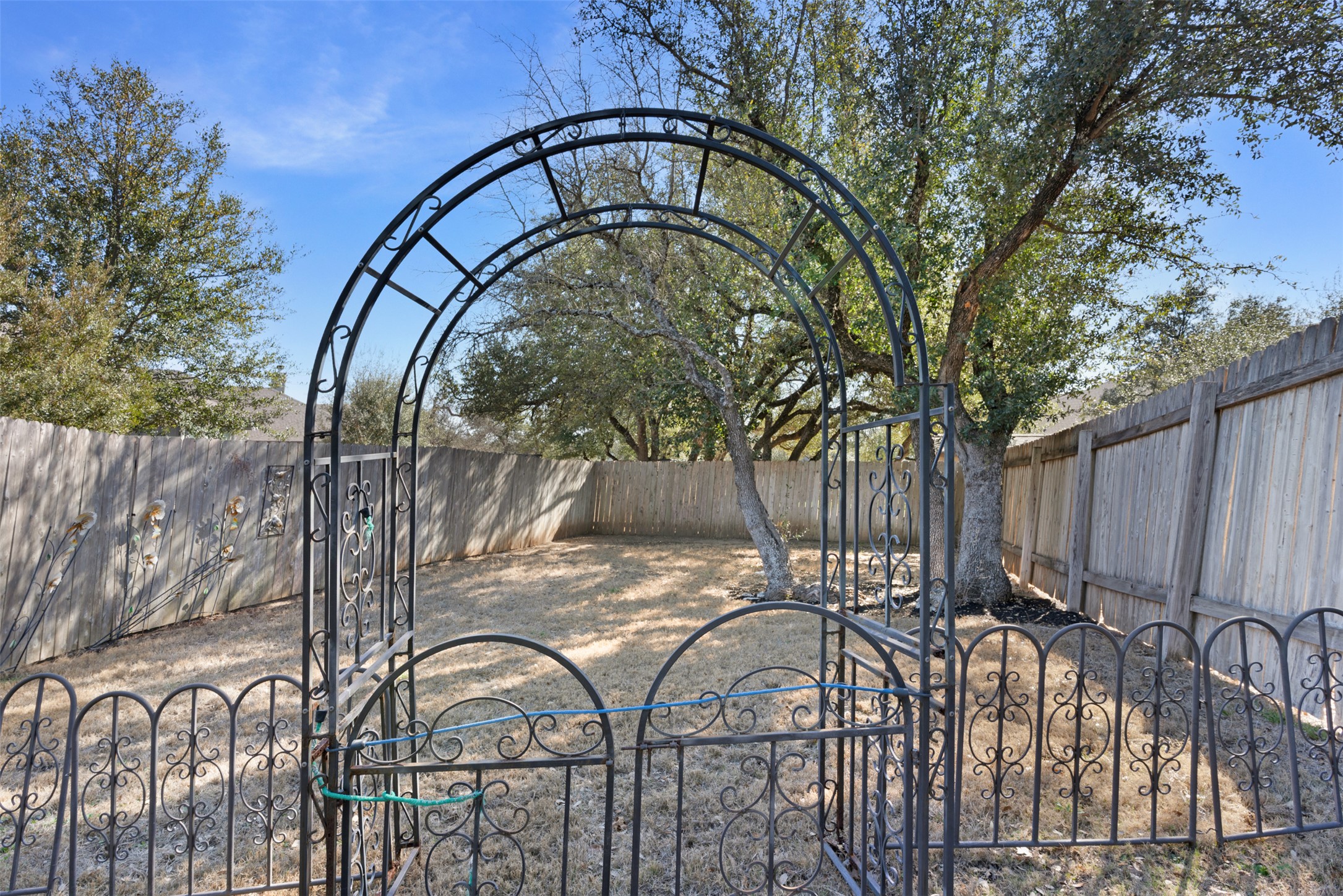 209 Cibolo Ridge Drive Georgetown, TX 78628 - Photo 37 of 39