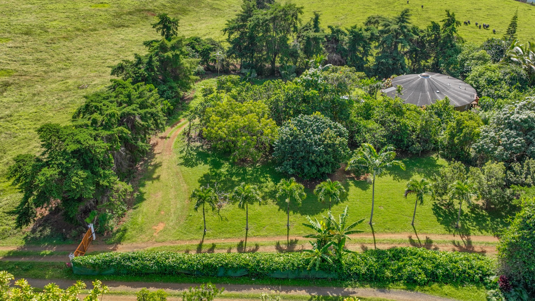 5715 Kaehulua Road, Unit 1 Kapaa, HI 96746 - Photo 20 of 22 Gallery Image 20