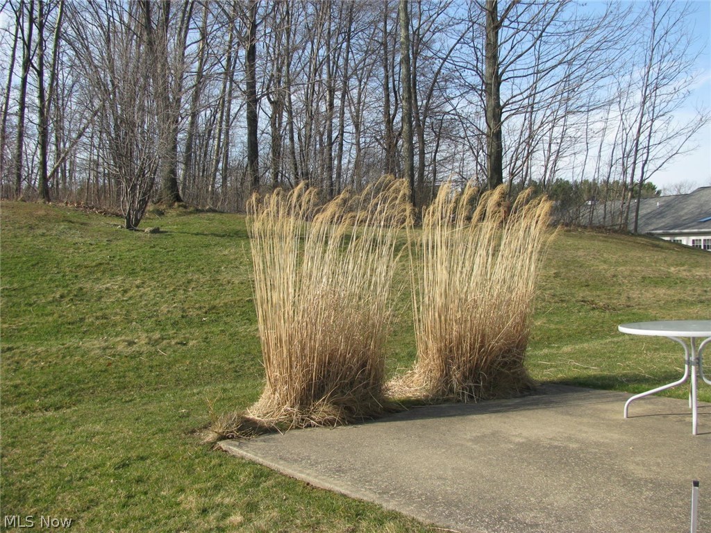 104 Chimney Ridge Chardon, OH 44024 - Photo 26 of 30 Gallery Image 26