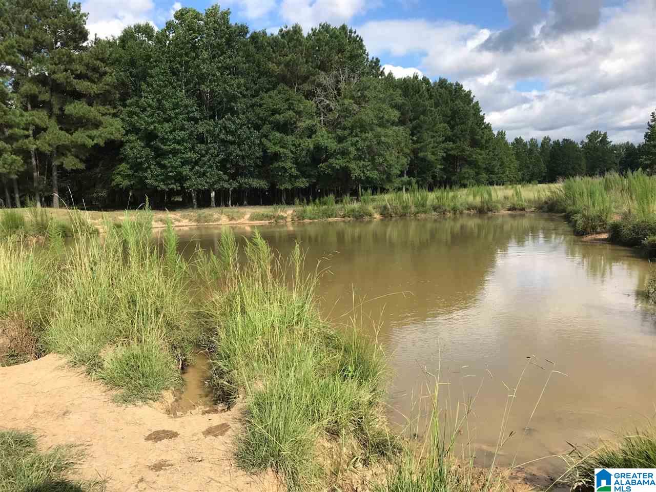 390 Limbaugh Road Sylacauga, AL 35150 - Photo 5 of 39