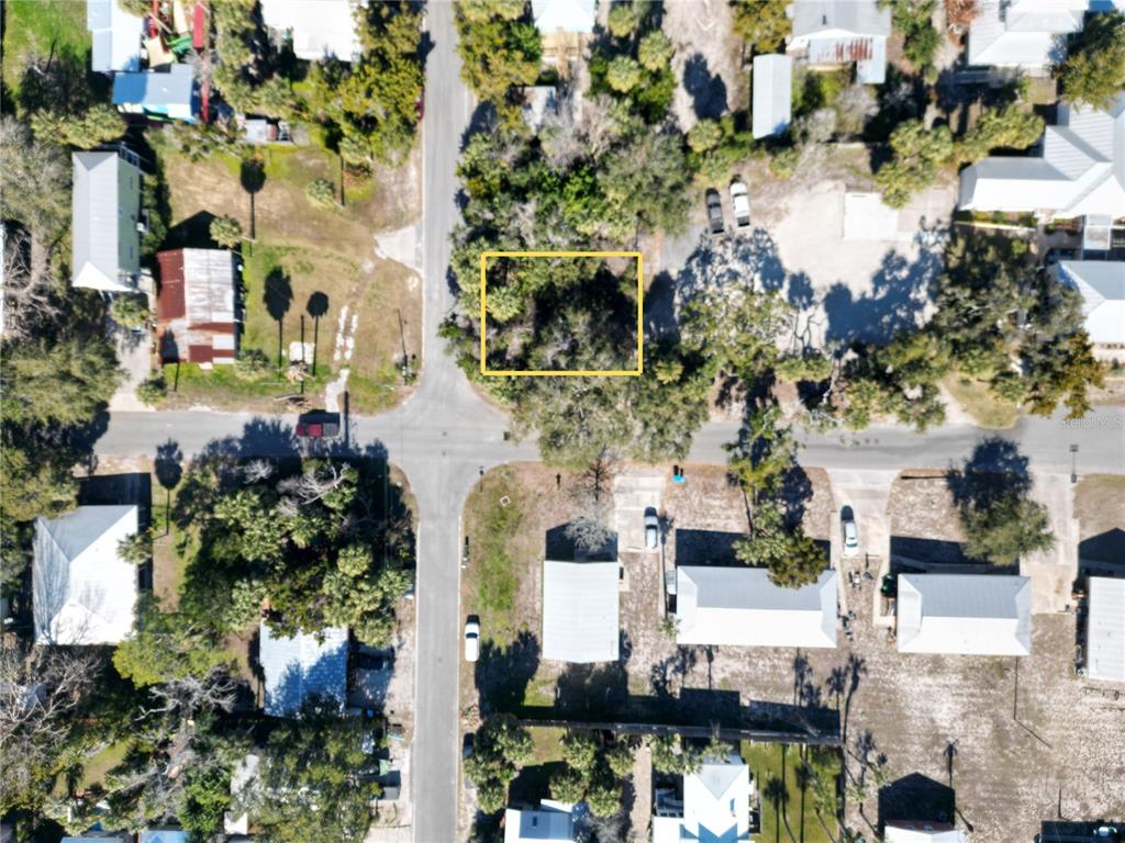 a picture of flowers