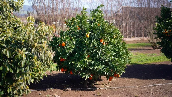 $2,288,000 | 730 Lepa Court, Gilroy, CA 95020