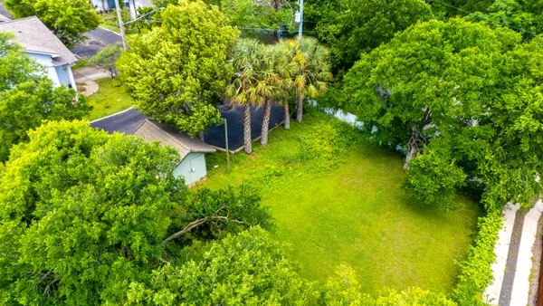 a view of a garden