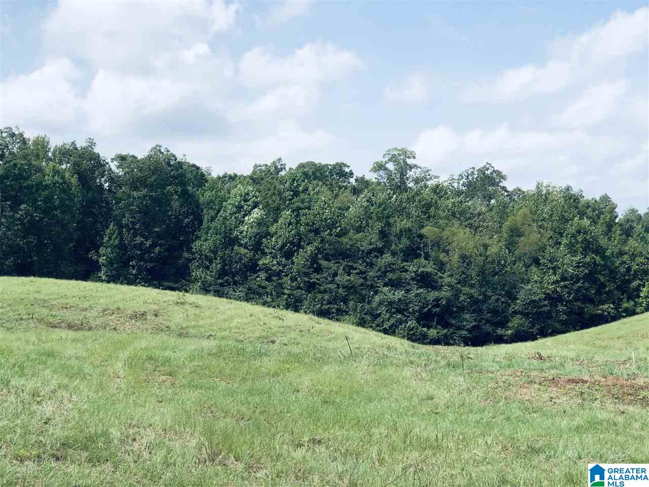 0 Rose Lane, Unit 1 2 Montevallo, AL 35115 - Photo 4 of 14