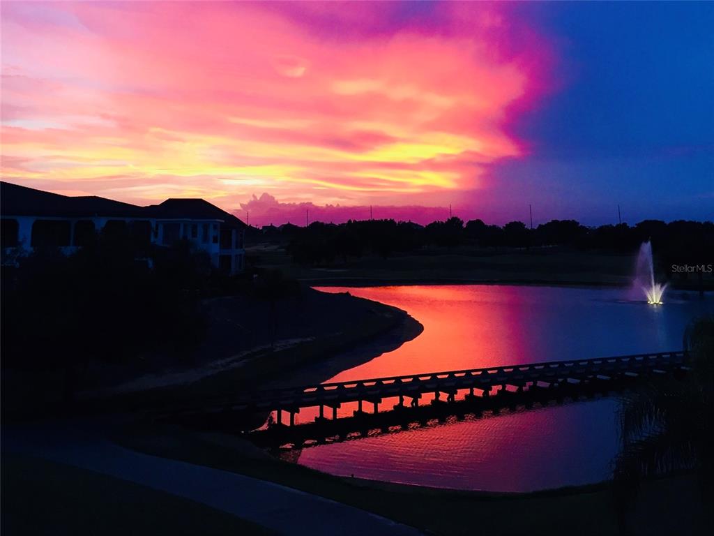 1424 Titian Court Reunion, FL 34747 - Photo 17 of 63 a view of a yard with a lake