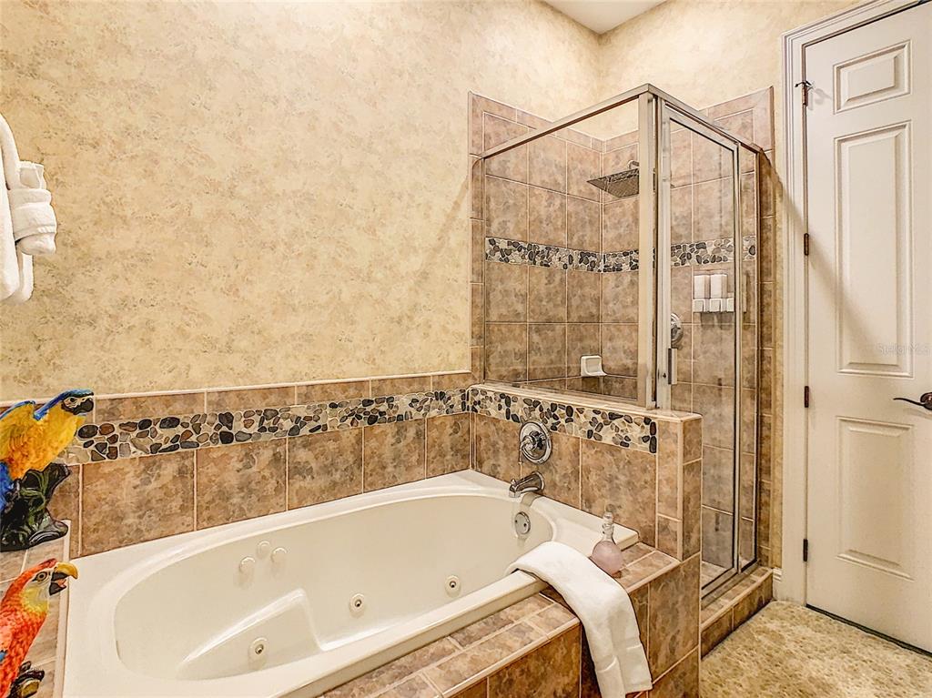 1424 Titian Court Reunion, FL 34747 - Photo 20 of 63 a bathroom with a bathtub and a shower