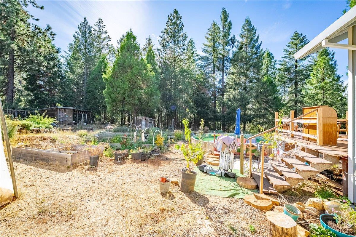 1340 Paymaster Mine Road Georgetown, CA 95634 - Photo 30 of 42 Gallery Image 30