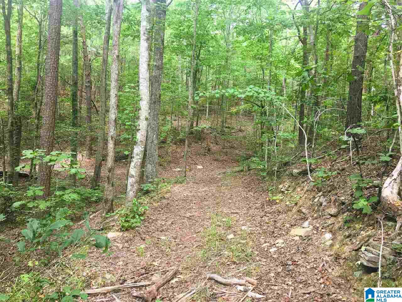 2565 Kentuck Road, Unit 4569 Oxford, AL 36203 - Photo 39 of 46
