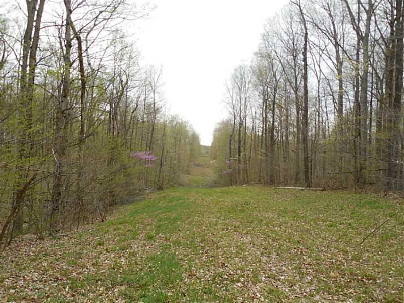 0 Manhattan Road Spencer, IN 47460 - Photo 1 of 10