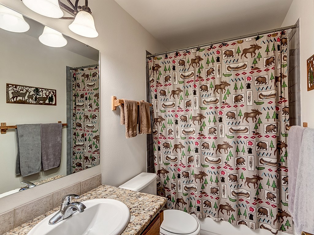 10000 Ryan Gulch Road, Unit 102 Silverthorne, CO 80498 - Photo 9 of 13 Gallery Image 9