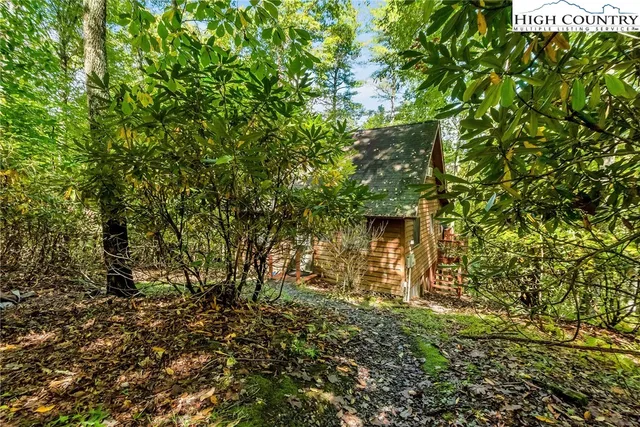 a backyard of a house with lots of plants and tree