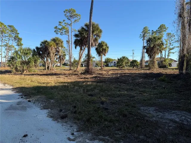 a view of dirt yard with a large tree