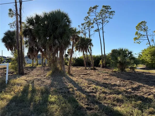 a view of dirt yard with a large tree