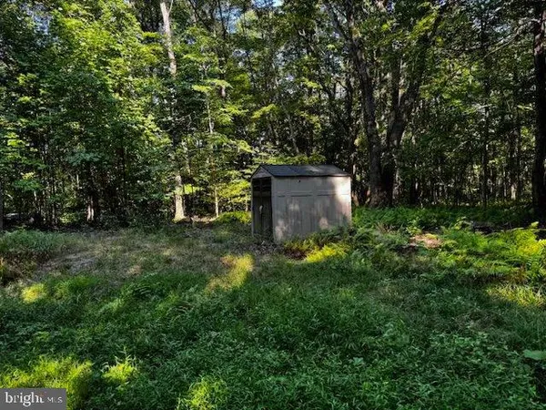 a backyard of a house with trees and plants