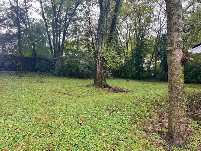 a view of a backyard with large trees