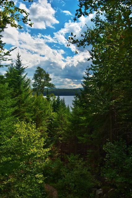 332 Birches Beach Road Oquossoc, ME 04964 - Photo 8 of 28 Photo